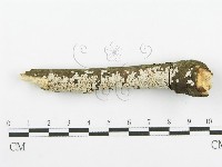 登錄號:F0018727藏品圖，第4張