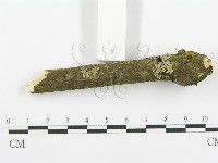 登錄號:F0018727藏品圖，第6張