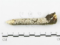 登錄號:F0018727藏品圖，第7張