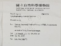 靈芝屬藏品圖，第2張