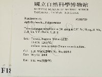 牛樟芝藏品圖，第2張
