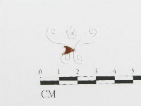 登錄號:F0018731藏品圖，第1張