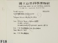 登錄號:F0018732藏品圖，第2張