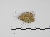 登錄號:F0018732藏品圖，第3張