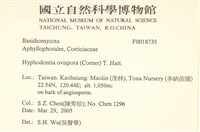 登錄號:F0018735藏品圖，第2張