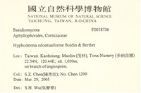 登錄號:F0018736藏品圖，第2張