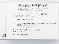 裂褶菌藏品圖，第2張