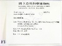 木耳屬藏品圖，第2張