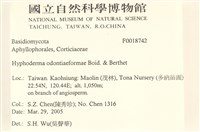 登錄號:F0018742藏品圖，第2張
