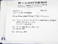 登錄號:F0018743藏品圖，第2張