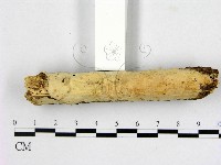 登錄號:F0018743藏品圖，第3張