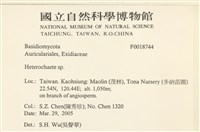 刺皮菌屬藏品圖，第2張