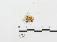 登錄號:F0018747藏品圖，第1張