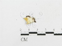 登錄號:F0018747藏品圖，第3張
