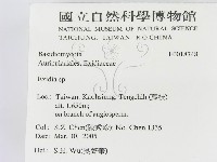 登錄號:F0018748藏品圖，第2張