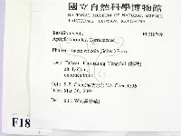 登錄號:F0018749藏品圖，第2張
