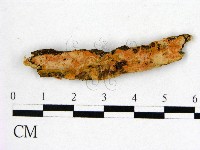 登錄號:F0018749藏品圖，第1張