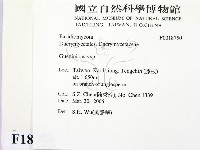 登錄號:F0018750藏品圖，第2張