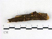 登錄號:F0018750藏品圖，第1張