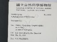 附毛菌屬藏品圖，第2張