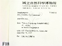 木耳屬藏品圖，第2張