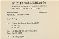 登錄號:F0018753藏品圖，第2張