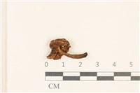 登錄號:F0018753藏品圖，第3張