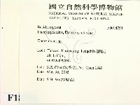 花耳屬藏品圖，第2張