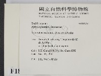 登錄號:F0018755藏品圖，第2張