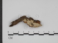 登錄號:F0018755藏品圖，第1張