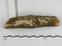 登錄號:F0018756藏品圖，第1張