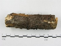 登錄號:F0018759藏品圖，第3張