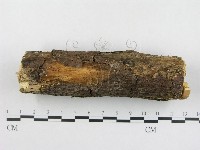 登錄號:F0018759藏品圖，第4張