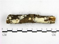 登錄號:F0018760藏品圖，第1張