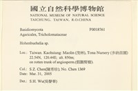登錄號:F0018761藏品圖，第2張