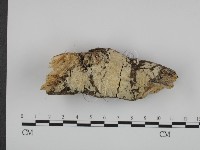 登錄號:F0018762藏品圖，第3張