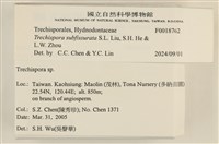 登錄號:F0018762藏品圖，第4張