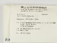 冇骨消絲齒菌藏品圖，第2張