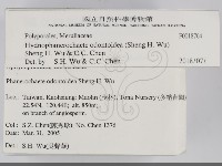 登錄號:F0018764藏品圖，第2張