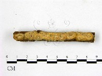 登錄號:F0018764藏品圖，第1張