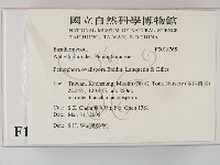 登錄號:F0018765藏品圖，第2張