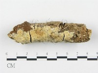 登錄號:F0018767藏品圖，第1張