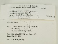 登錄號:F0018769藏品圖，第2張