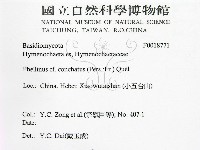 登錄號:F0018771藏品圖，第2張