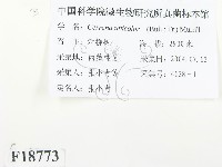 登錄號:F0018773藏品圖，第2張
