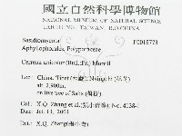 登錄號:F0018773藏品圖，第3張