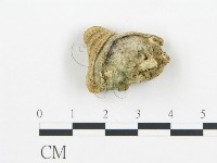 登錄號:F0018773藏品圖，第4張
