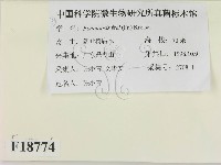 登錄號:F0018774藏品圖，第2張