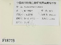 登錄號:F0018775藏品圖，第2張