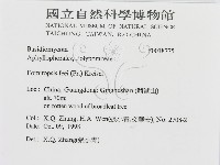 登錄號:F0018775藏品圖，第3張